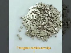 Het Customzedwolfram Carnbide zag Uiteinden voor hardere rots/WC-mr8-B mr9-B Kobalt